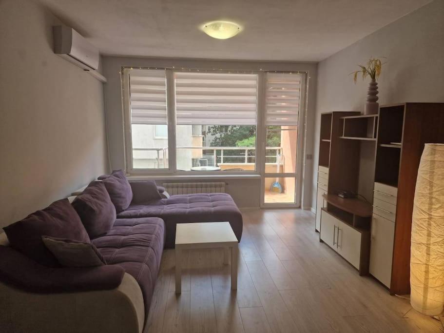 Cozy Central Apartment In Outskirts Of Old Sofia Buitenkant foto
